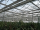 पौधों के लिए 55% उपचारित सनब्लॉक शेड क्लॉथ एल्युमिनियम शेड नेट एनर्जी सेविंग ग्रीनहाउस स्क्रीन