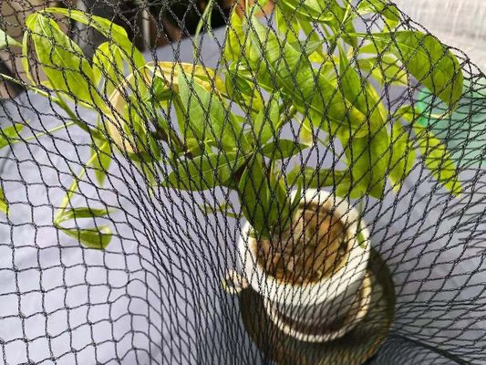 पूल एंटी हेरॉन कोई मछली तालाब शुद्ध सुरक्षा कवर 15 फीट X 20 फीट एचडीपीई