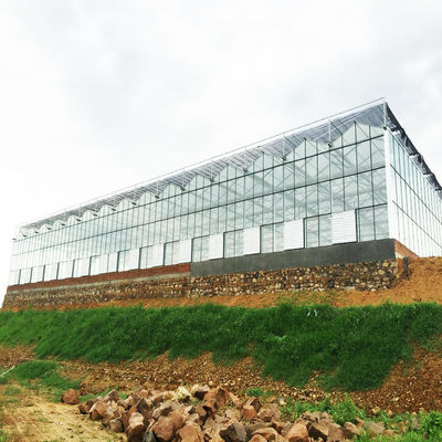 95 विंडब्रेक ग्रीन एग्रो शेड नेटिंग एचडीपीई फैब्रिक शेड