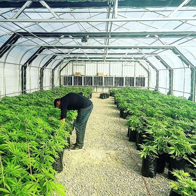 वनस्पति उद्यान के लिए 60% आउटडोर आँगन प्लास्टिक एग्री शेड नेटिंग