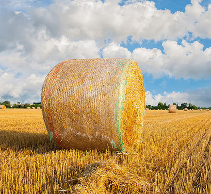 8.33GSM बेल नेट रैप प्लास्टिक एंटी यूवी वार्निंग लाइन के साथ